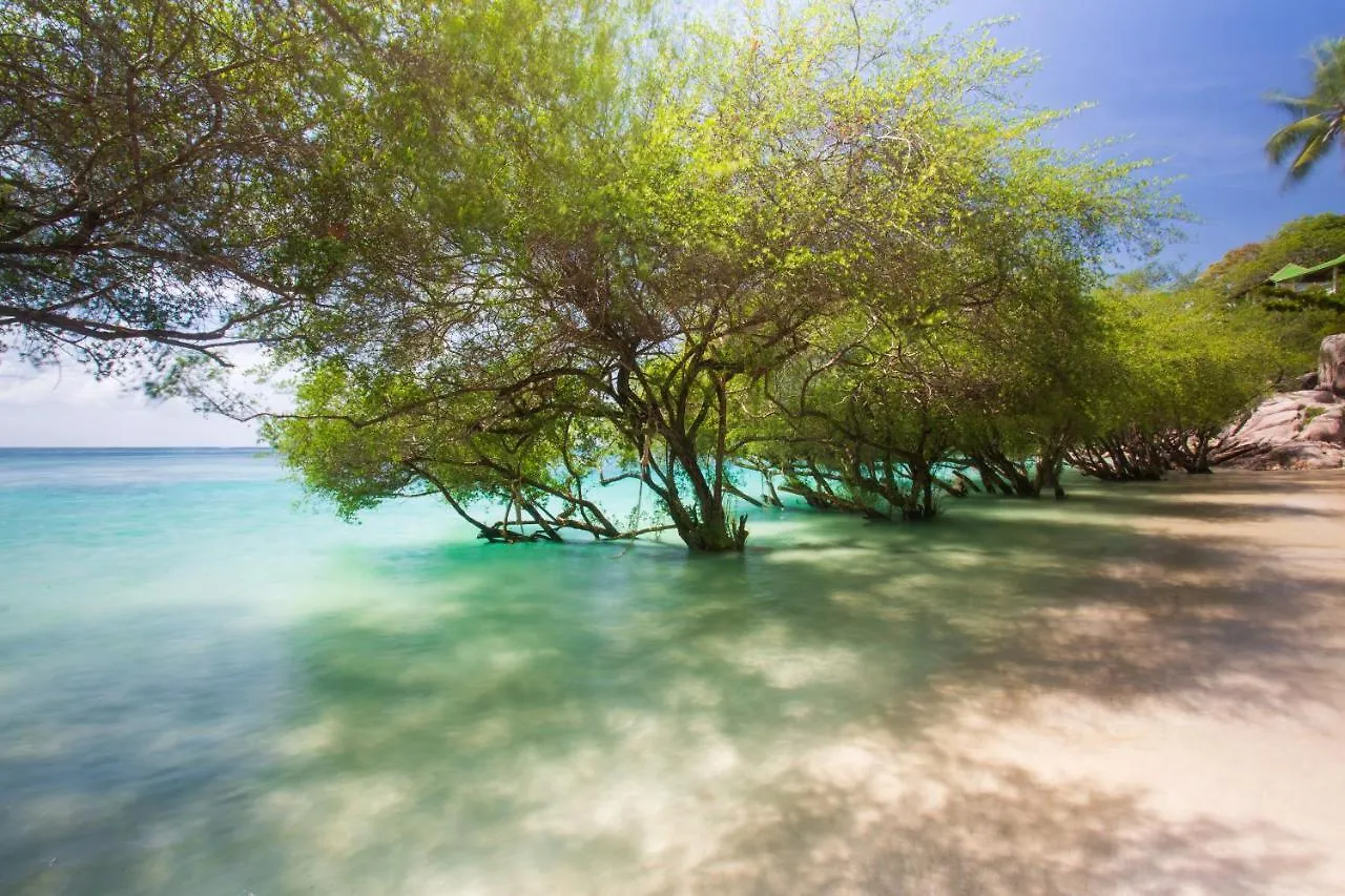 Koh Tao Relax Freedom Beach Resort Tailandia