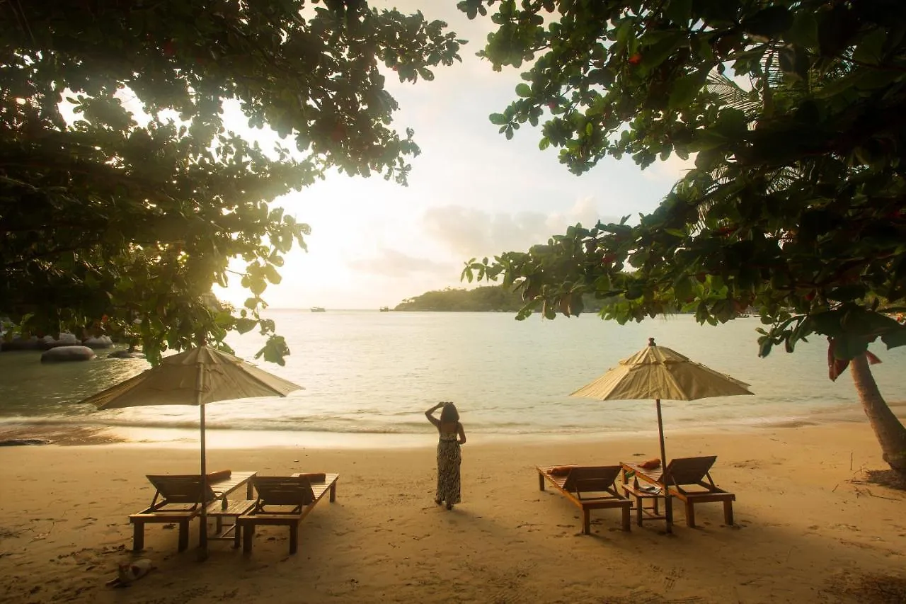 Koh Tao Relax Freedom Beach Resort  Ko Tao