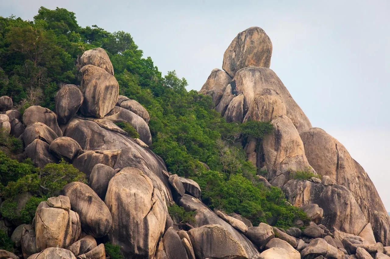 ***  Koh Tao Relax Freedom Beach Resort Tailandia