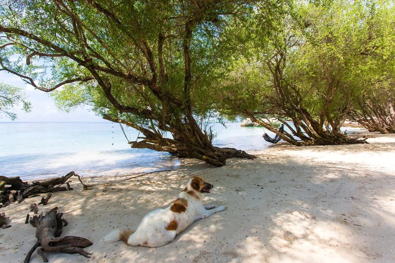 ***  Koh Tao Relax Freedom Beach Resort Tailandia