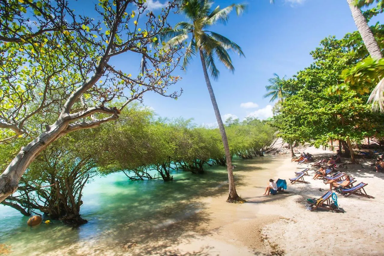 Koh Tao Relax Freedom Beach Resort Thailand