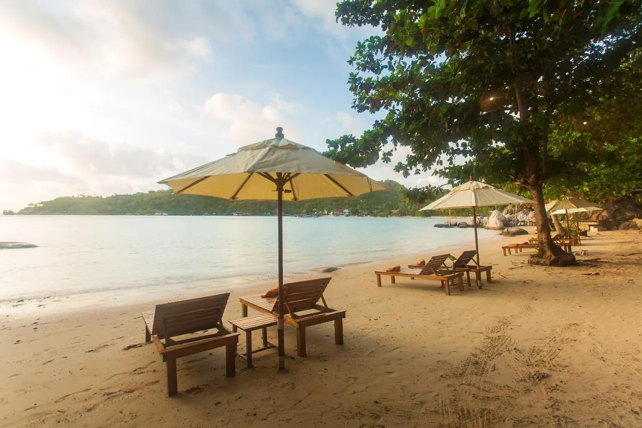 Koh Tao Relax Freedom Beach Resort