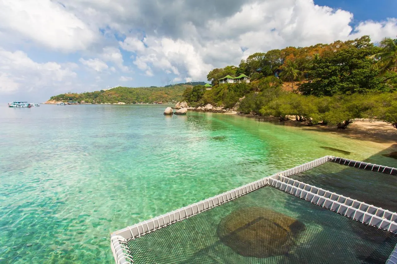 Koh Tao Relax Freedom Beach Resort  Koh Tao
